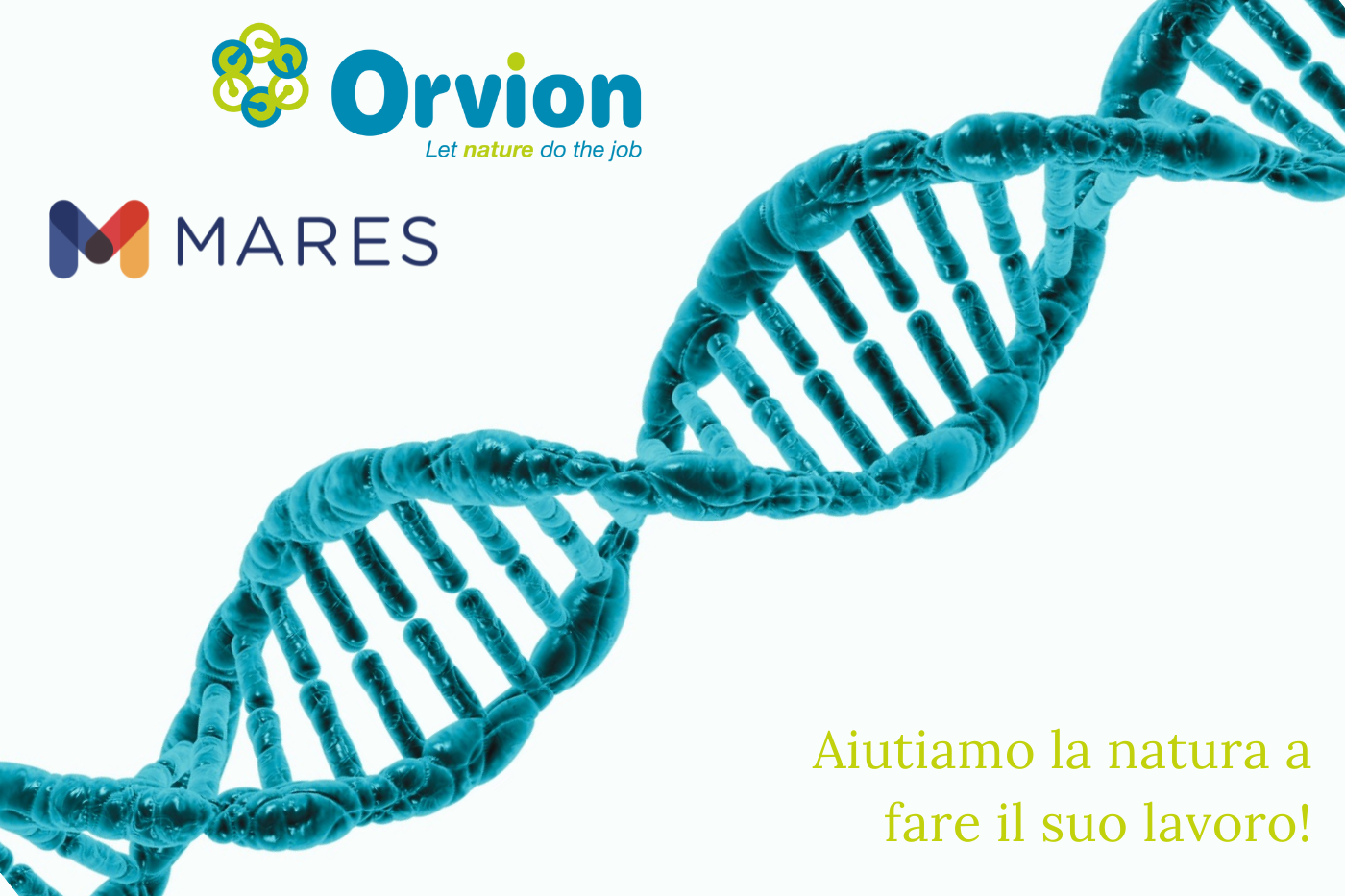 Stipulata una nuova partnership con Orvion, società specializzata nelle analisi genetiche